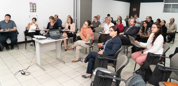 omité Consultivo del Consejo de Alto Nivel de los Objetivos de Desarrollo Sostenible