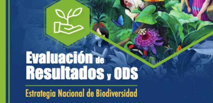 imagen ilustrativa